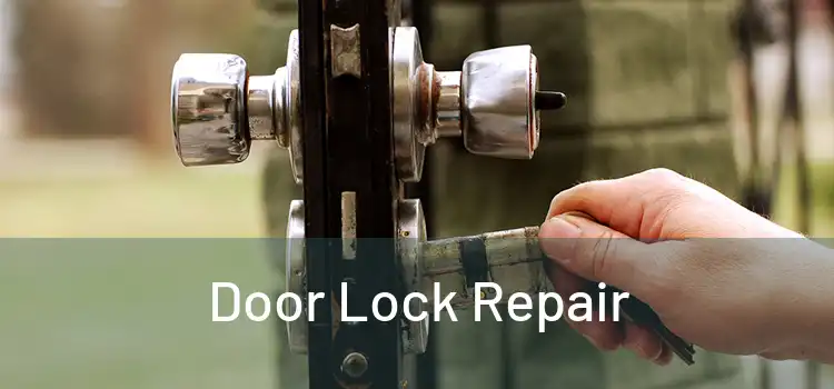Door Lock Repair