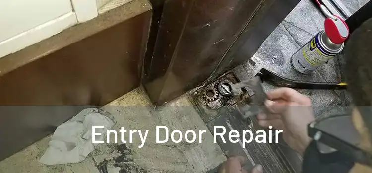  Entry Door Repair 