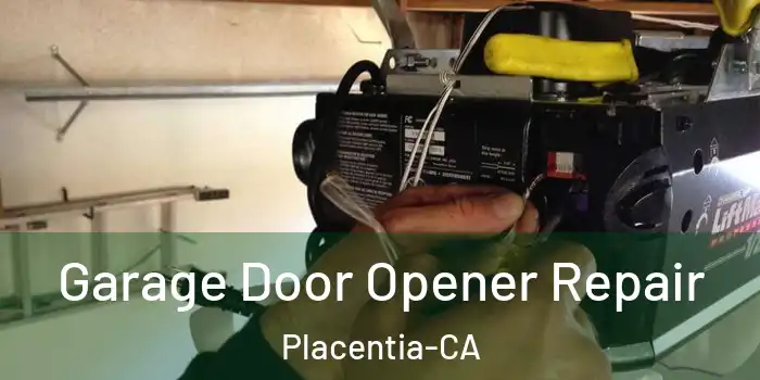 Garage Door Opener Repair Placentia-CA