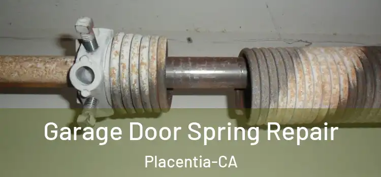 Garage Door Spring Repair Placentia-CA