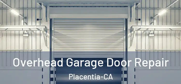 Overhead Garage Door Repair Placentia-CA